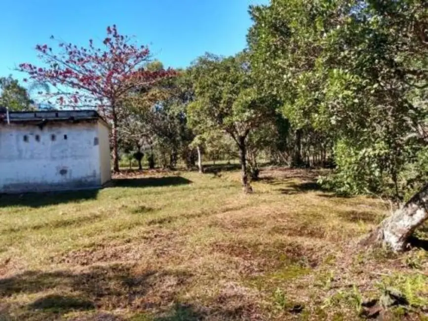 Chácara com 2 quartos à venda, 70m2 em Itanhaem - SP - imagem 8 Foto 8 de Chácara com 2 quartos à venda, 70m2 em Itanhaem - SP