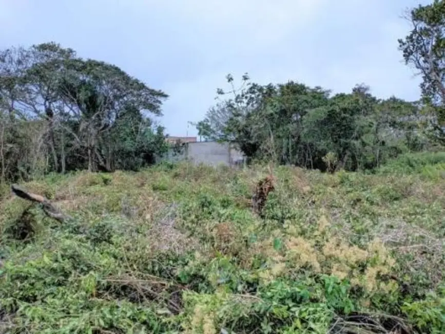 Foto 3 de Terreno / Lote à venda, 137m2 em Itanhaem - SP