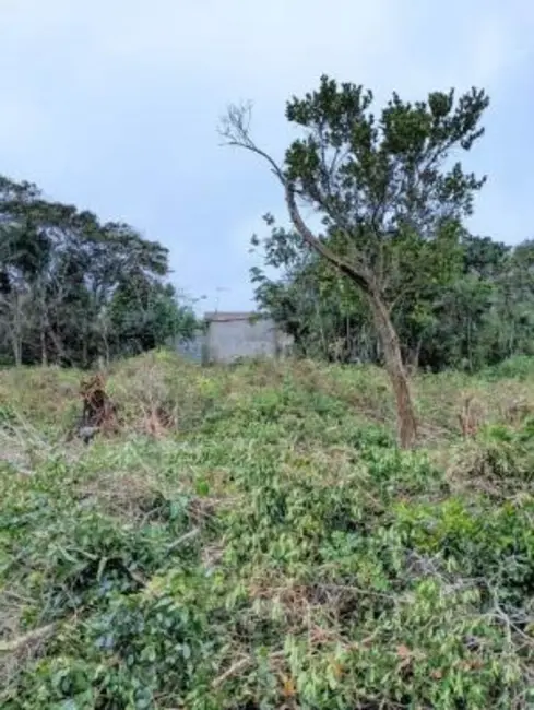 Foto 1 de Terreno / Lote à venda, 137m2 em Itanhaem - SP