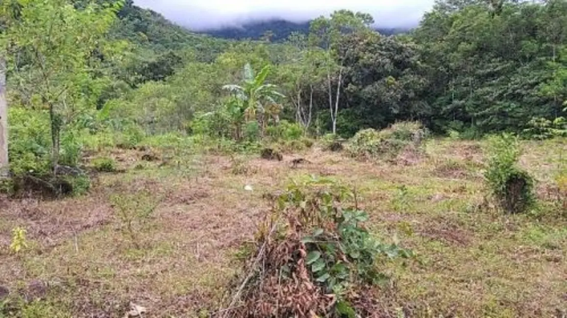 Chácara com 4 quartos à venda, 100m2 em Peruibe - SP - imagem 3 Foto 3 de Chácara com 4 quartos à venda, 100m2 em Peruibe - SP