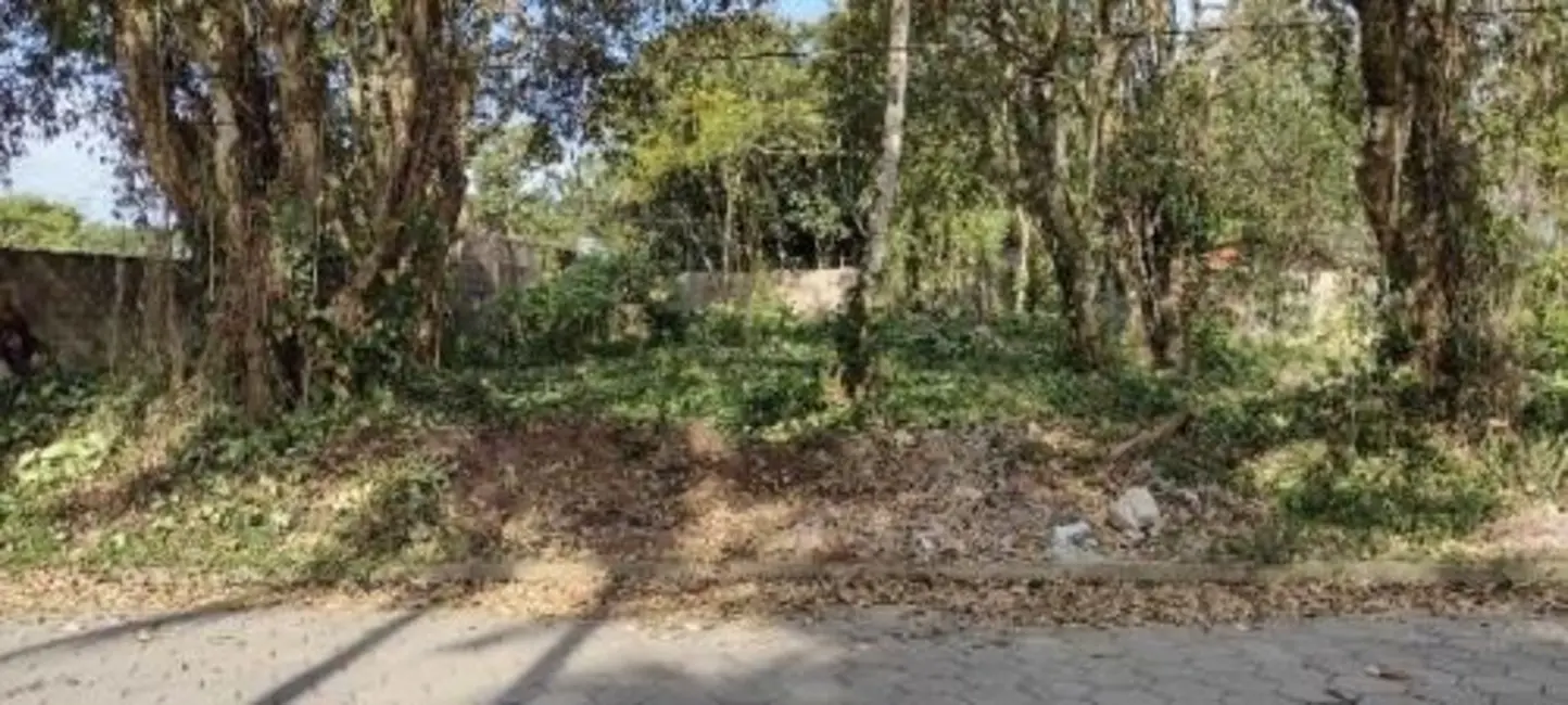 Chácara à venda, 1000m2 em Itanhaem - SP - imagem 5 Foto 5 de Chácara à venda, 1000m2 em Itanhaem - SP