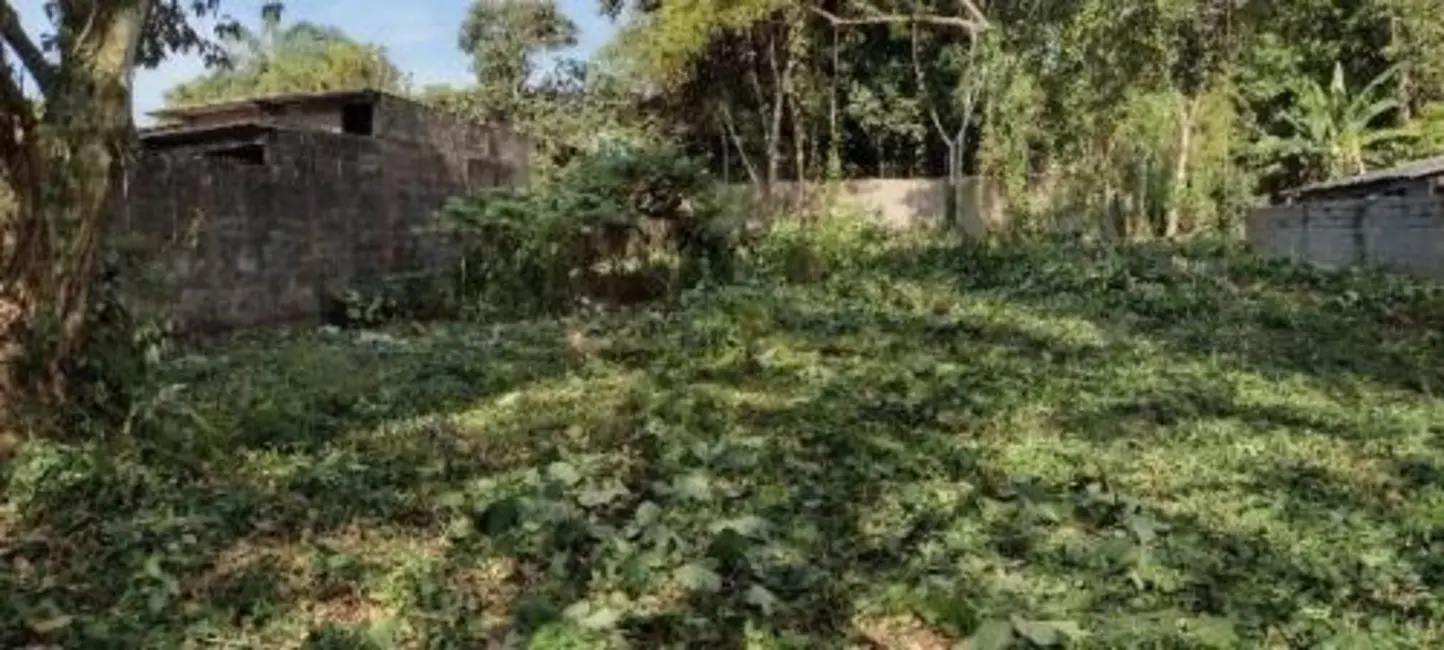 Chácara à venda, 1000m2 em Itanhaem - SP - imagem 7 Foto 7 de Chácara à venda, 1000m2 em Itanhaem - SP