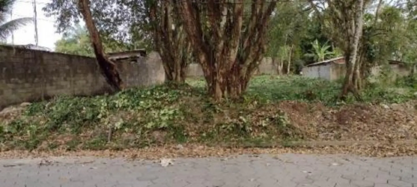 Chácara à venda, 1000m2 em Itanhaem - SP - imagem 6 Foto 6 de Chácara à venda, 1000m2 em Itanhaem - SP