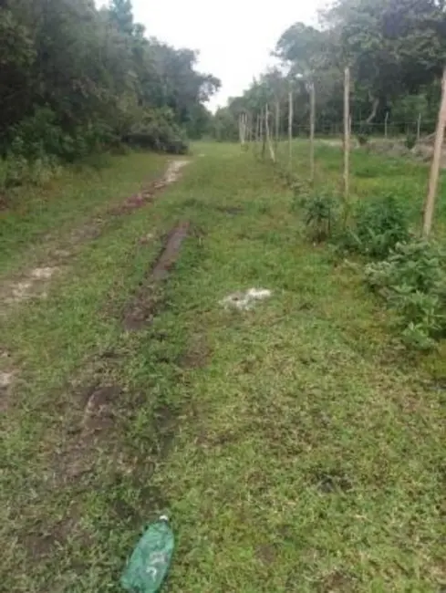 Chácara à venda em Itanhaem - SP - imagem 5 Foto 5 de Chácara à venda em Itanhaem - SP