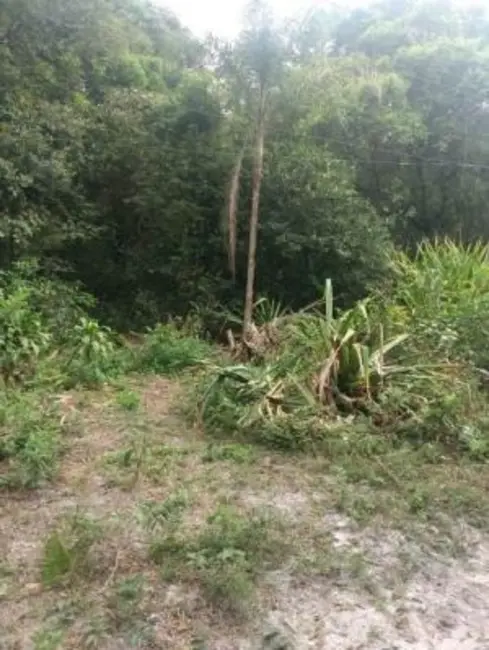 Foto 1 de Chácara à venda em Itanhaem - SP