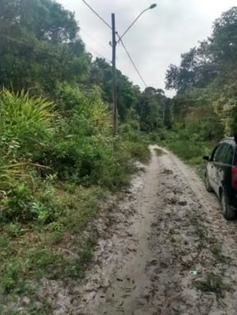 Chácara à venda em Itanhaem - SP - imagem 7 Foto 7 de Chácara à venda em Itanhaem - SP