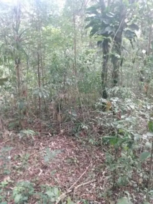 Chácara à venda em Itanhaem - SP - imagem 4 Foto 4 de Chácara à venda em Itanhaem - SP