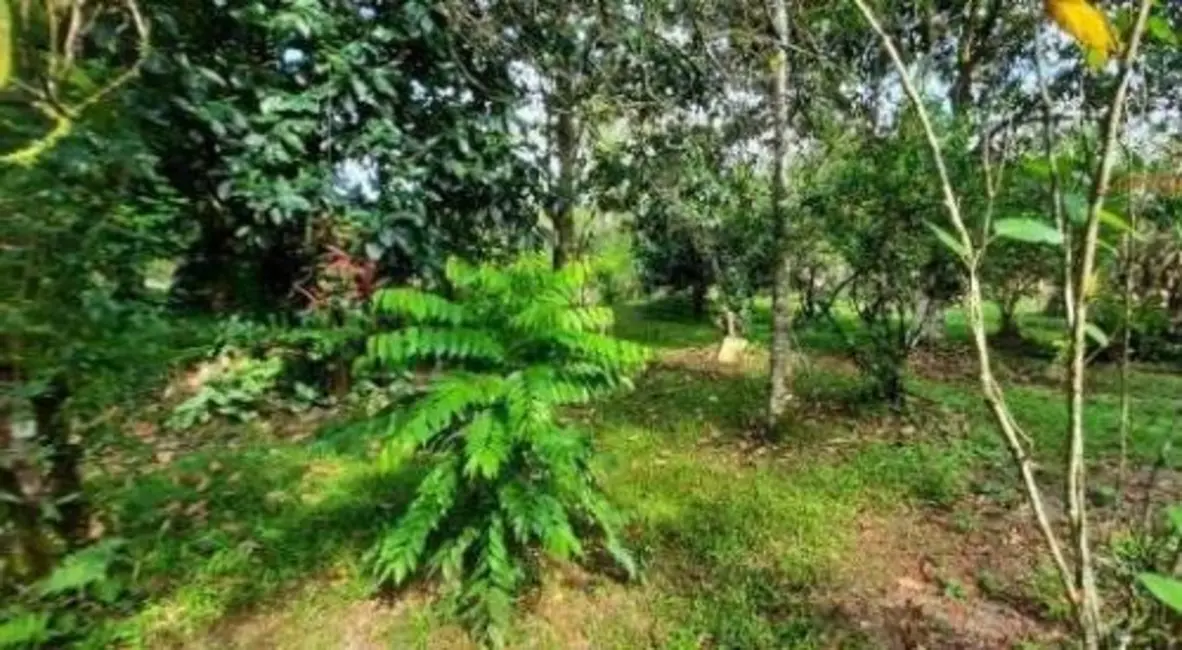 Chácara com 3 quartos à venda, 140m2 em Peruibe - SP - imagem 9 Foto 9 de Chácara com 3 quartos à venda, 140m2 em Peruibe - SP