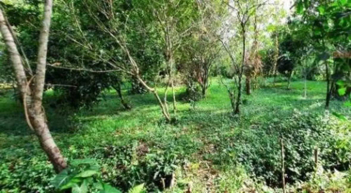 Chácara com 3 quartos à venda, 140m2 em Peruibe - SP - imagem 7 Foto 7 de Chácara com 3 quartos à venda, 140m2 em Peruibe - SP