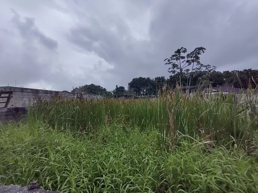 Foto 2 de Terreno / Lote à venda, 254m2 em Itanhaem - SP