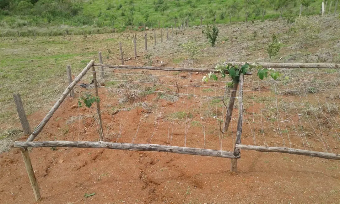 Chácara com 1 quarto à venda, 25m2 em Toledo - MG - imagem 7 Foto 7 de Chácara com 1 quarto à venda, 25m2 em Toledo - MG