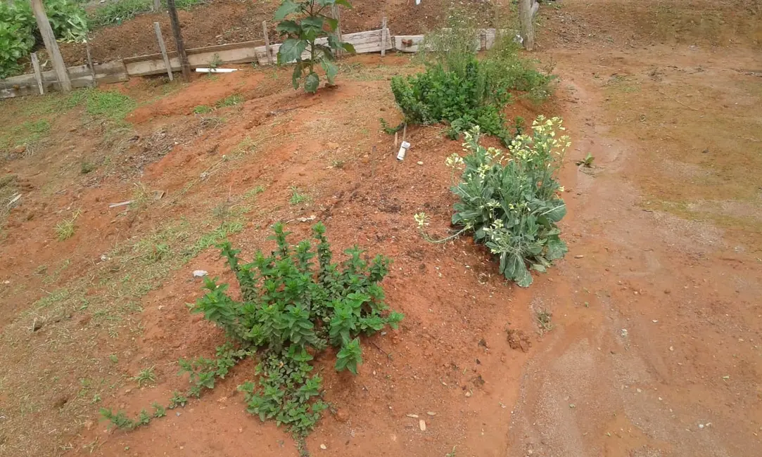 Chácara com 1 quarto à venda, 25m2 em Toledo - MG - imagem 8 Foto 8 de Chácara com 1 quarto à venda, 25m2 em Toledo - MG