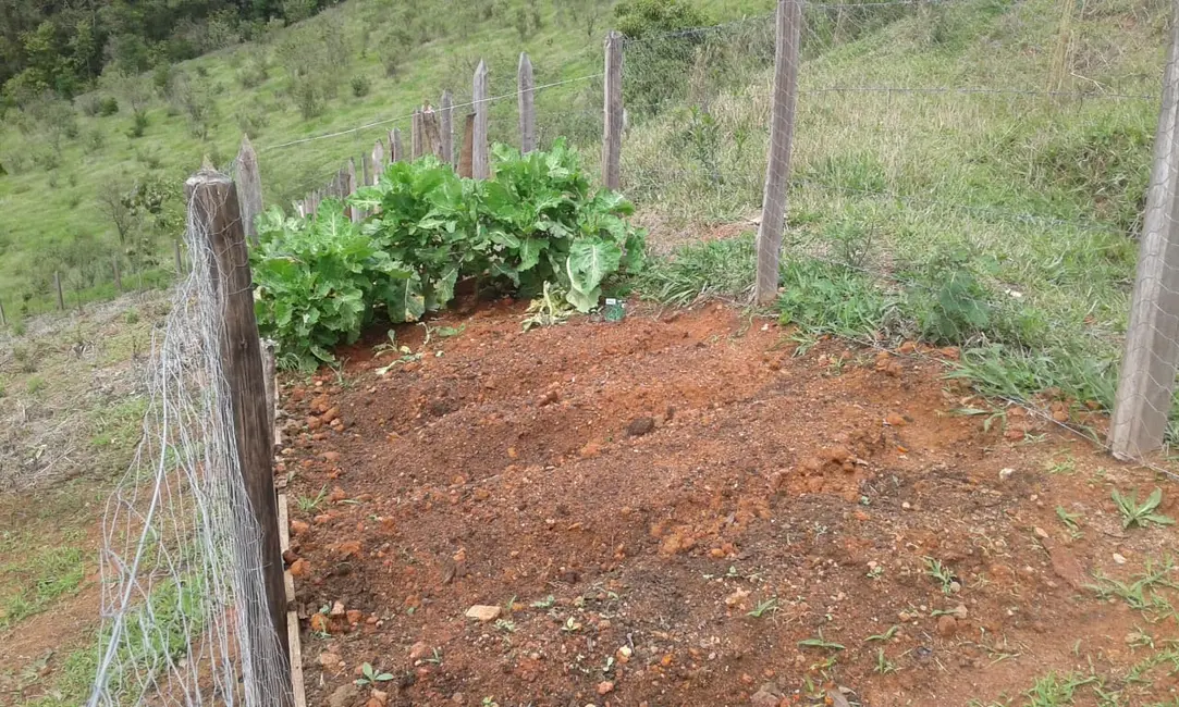 Foto 2 de Chácara com 1 quarto à venda, 25m2 em Toledo - MG