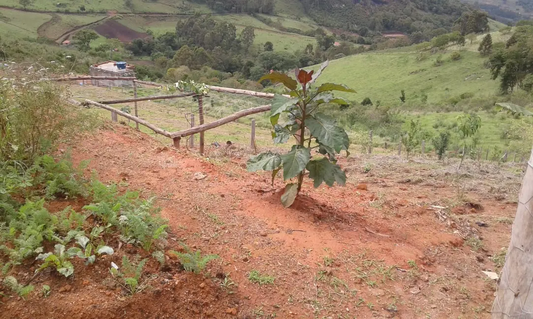 Chácara com 1 quarto à venda, 25m2 em Toledo - MG - imagem 3 Foto 3 de Chácara com 1 quarto à venda, 25m2 em Toledo - MG