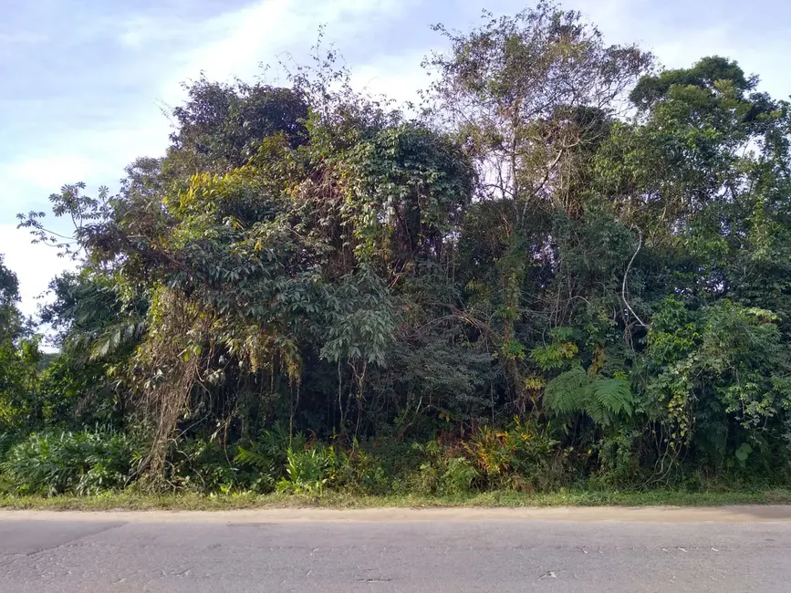 Foto 2 de Terreno / Lote à venda, 995m2 em Itanhaem - SP