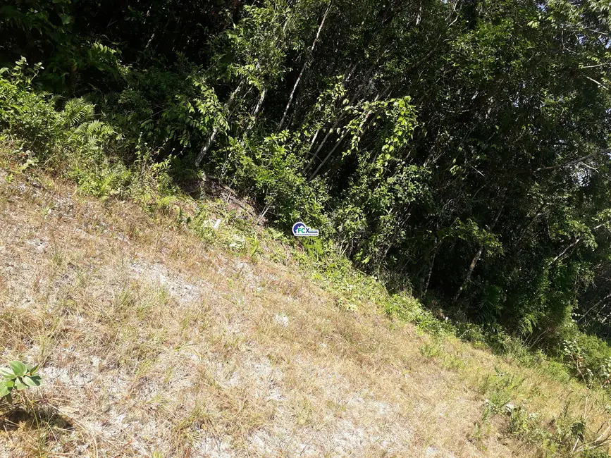 Foto 5 de Terreno / Lote à venda, 250m2 em Itanhaem - SP