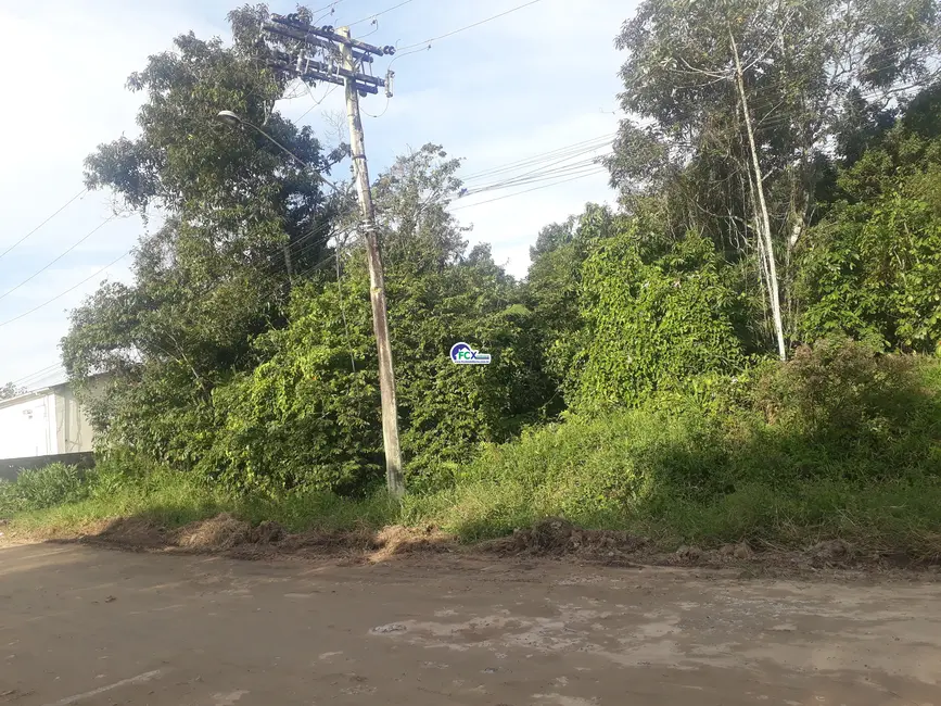 Foto 7 de Terreno / Lote à venda, 250m2 em Itanhaem - SP