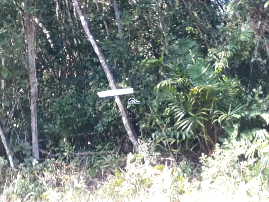 Foto 4 de Terreno / Lote à venda, 250m2 em Itanhaem - SP