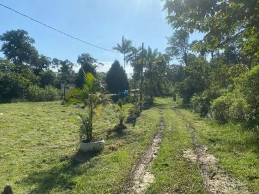 Chácara com 2 quartos à venda, 100m2 em Itanhaem - SP - imagem 8 Foto 8 de Chácara com 2 quartos à venda, 100m2 em Itanhaem - SP