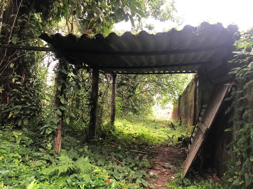 Chácara com 2 quartos à venda, 103m2 em Itanhaem - SP - imagem 8 Foto 8 de Chácara com 2 quartos à venda, 103m2 em Itanhaem - SP