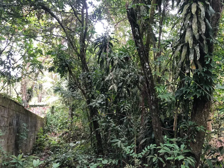 Chácara com 2 quartos à venda, 103m2 em Itanhaem - SP - imagem 9 Foto 9 de Chácara com 2 quartos à venda, 103m2 em Itanhaem - SP