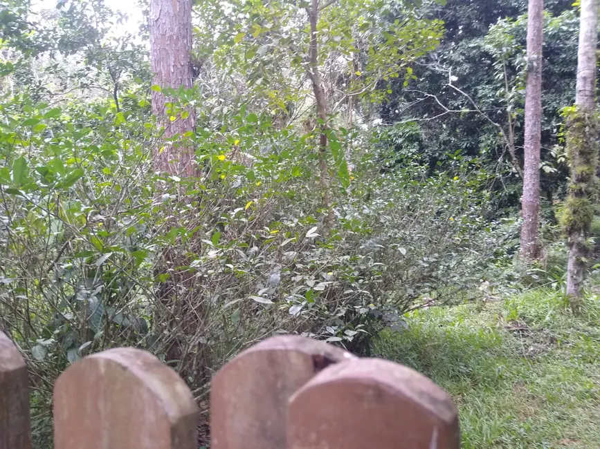 Foto 3 de Terreno / Lote à venda, 1000m2 em Itanhaem - SP