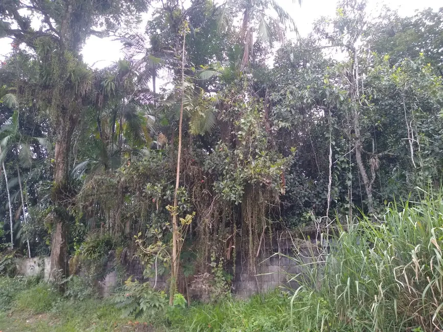 Foto 4 de Terreno / Lote à venda, 1000m2 em Itanhaem - SP