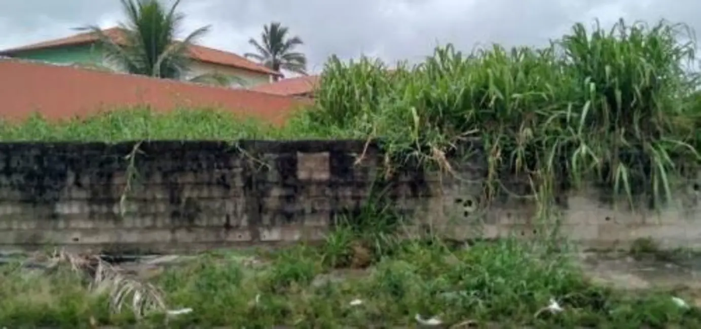 Terreno / Lote à venda, 480m2 em Itanhaem - SP - imagem 3 Foto 3 de Terreno / Lote à venda, 480m2 em Itanhaem - SP