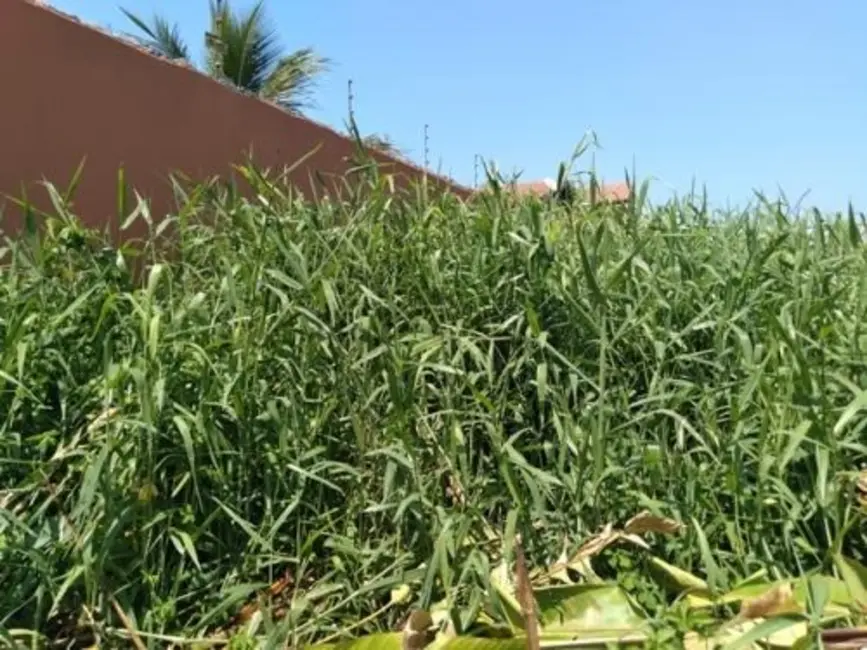 Terreno / Lote à venda, 480m2 em Itanhaem - SP - imagem 5 Foto 5 de Terreno / Lote à venda, 480m2 em Itanhaem - SP