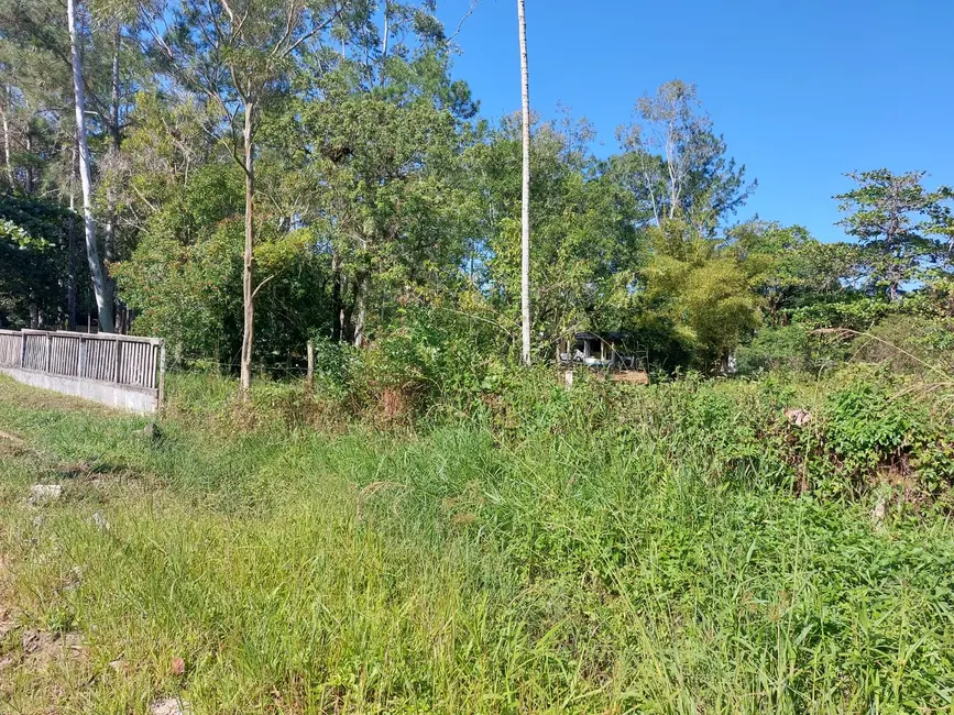 Chácara com 3 quartos à venda, 80m2 em Itanhaem - SP - imagem 7 Foto 7 de Chácara com 3 quartos à venda, 80m2 em Itanhaem - SP