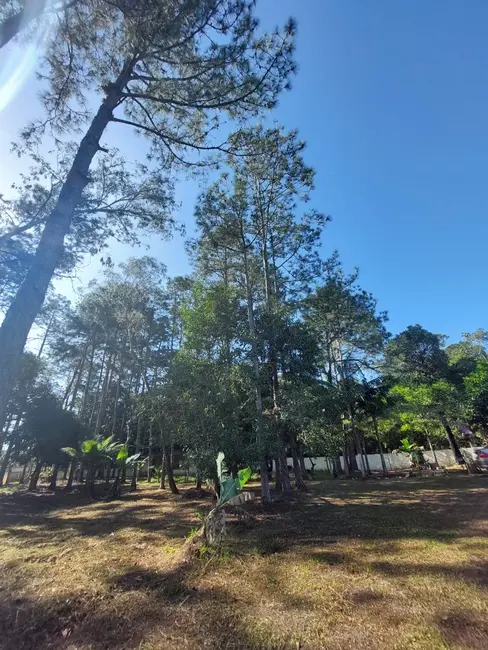 Chácara com 3 quartos à venda, 80m2 em Itanhaem - SP - imagem 2 Foto 2 de Chácara com 3 quartos à venda, 80m2 em Itanhaem - SP