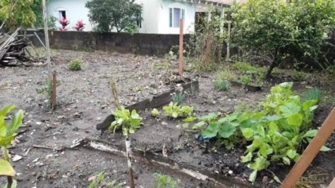 Foto 3 de Terreno / Lote à venda, 260m2 em Itanhaem - SP