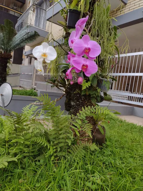 Foto 3 de Apartamento com 2 quartos à venda, 68m2 em Praia Grande - SP