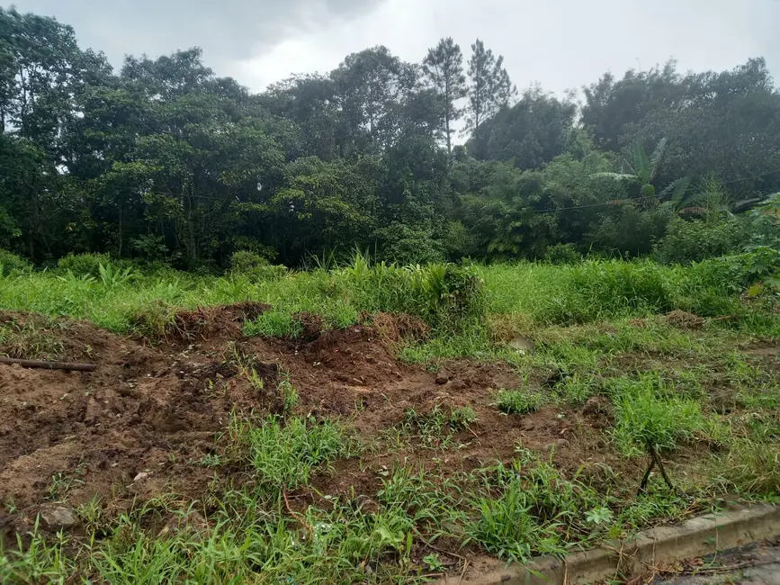 Terreno / Lote à venda, 1000m2 em Itanhaem - SP - imagem 2 Foto 2 de Terreno / Lote à venda, 1000m2 em Itanhaem - SP