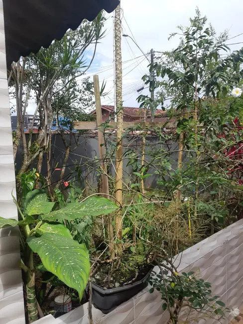 Foto 6 de Casa com 2 quartos à venda, 156m2 em Itanhaem - SP