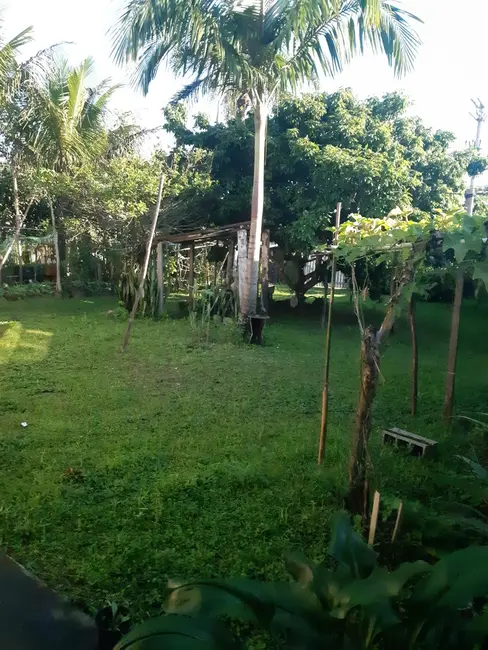 Foto 9 de Casa com 5 quartos à venda, 150m2 em Itanhaem - SP