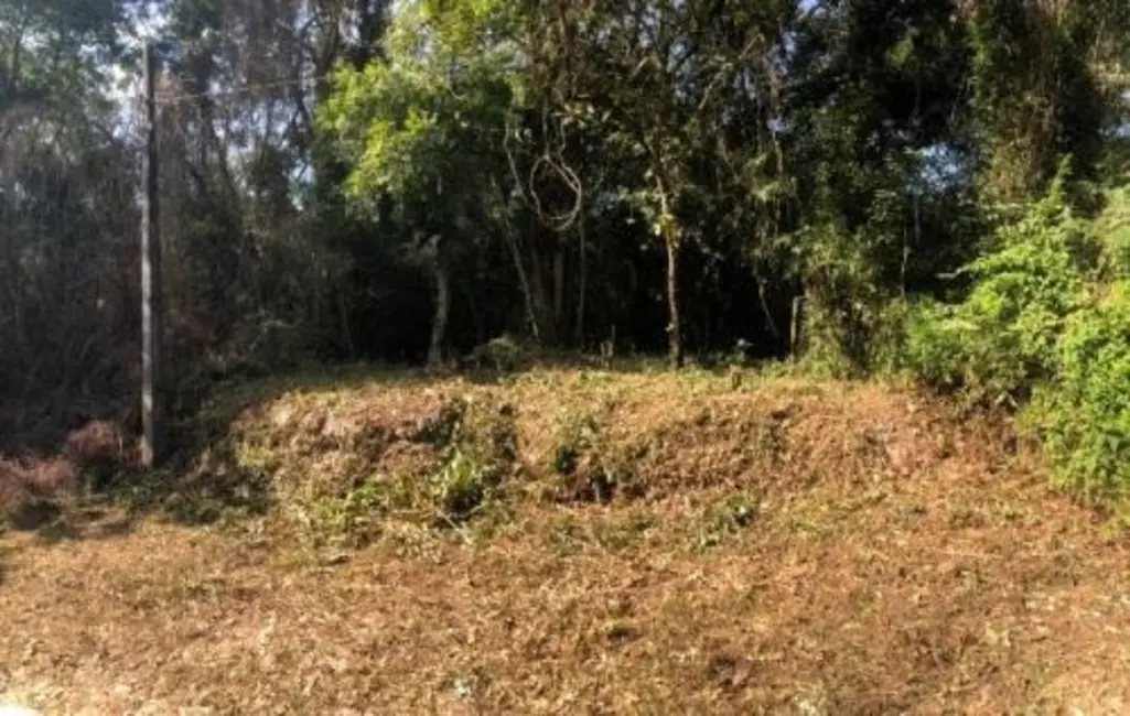 Foto 1 de Terreno / Lote à venda, 270m2 em Itanhaem - SP