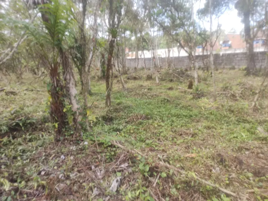 Foto 7 de Terreno / Lote à venda, 1680m2 em Itanhaem - SP