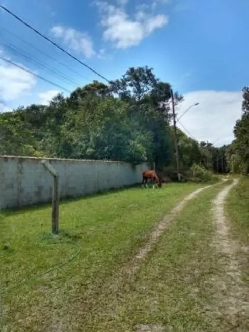 Chácara com 2 quartos à venda, 135m2 em Itanhaem - SP - imagem 9 Foto 9 de Chácara com 2 quartos à venda, 135m2 em Itanhaem - SP