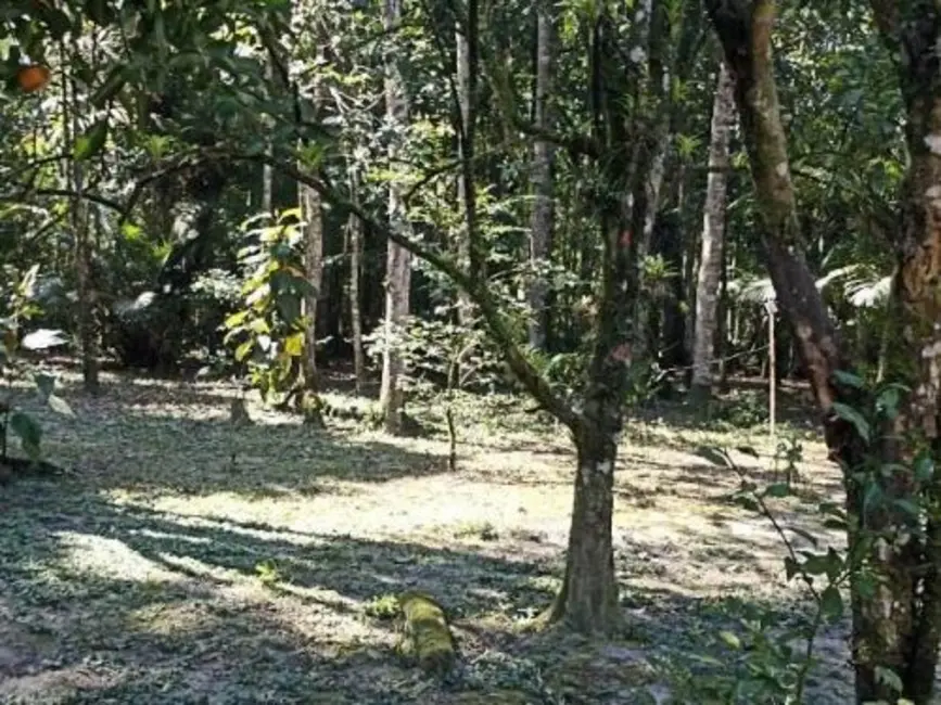 Foto 7 de Chácara com 3 quartos à venda, 220m2 em Itanhaem - SP