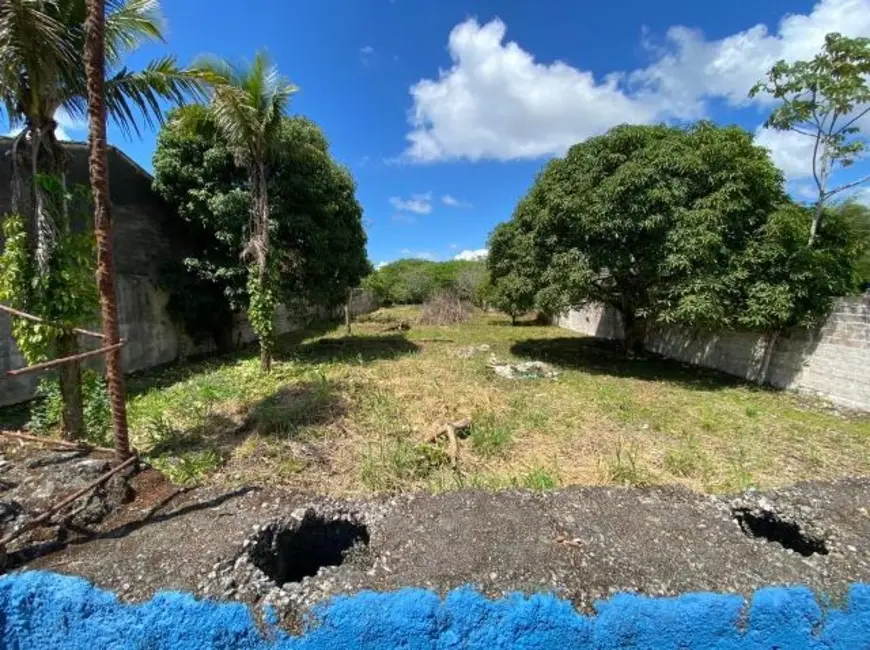 Terreno / Lote para alugar, 2100m2 em Itanhaem - SP - imagem 3 Foto 3 de Terreno / Lote para alugar, 2100m2 em Itanhaem - SP