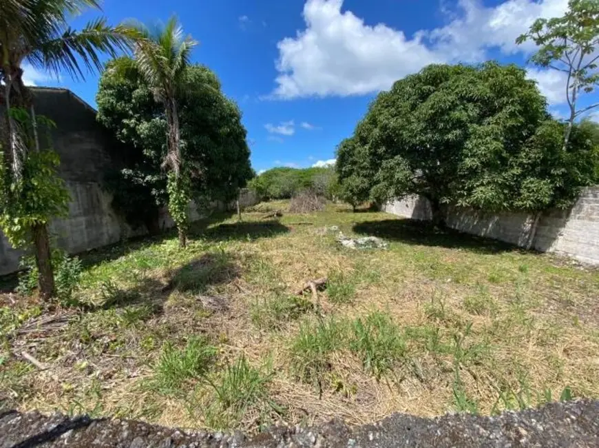 Terreno / Lote para alugar, 2100m2 em Itanhaem - SP - imagem 5 Foto 5 de Terreno / Lote para alugar, 2100m2 em Itanhaem - SP
