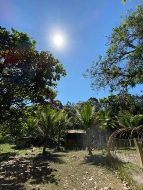 Chácara com 1 quarto à venda, 72m2 em Itanhaem - SP - imagem 6 Foto 6 de Chácara com 1 quarto à venda, 72m2 em Itanhaem - SP