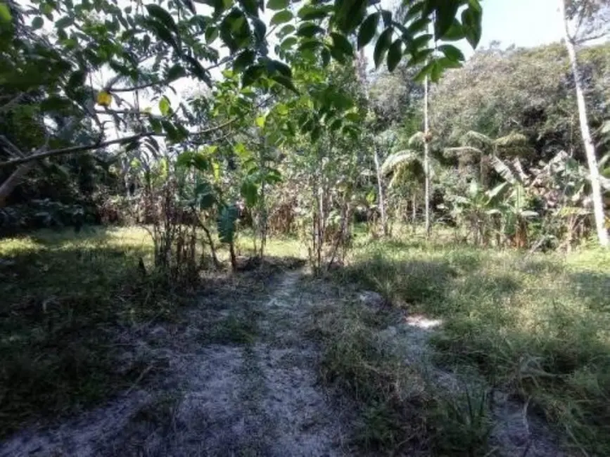 Chácara com 2 quartos à venda, 110m2 em Itanhaem - SP - imagem 9 Foto 9 de Chácara com 2 quartos à venda, 110m2 em Itanhaem - SP