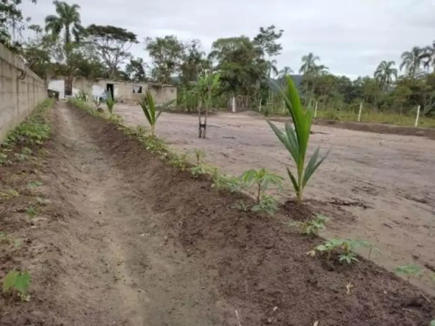 Foto 8 de Chácara com 3 quartos à venda, 80m2 em Itanhaem - SP
