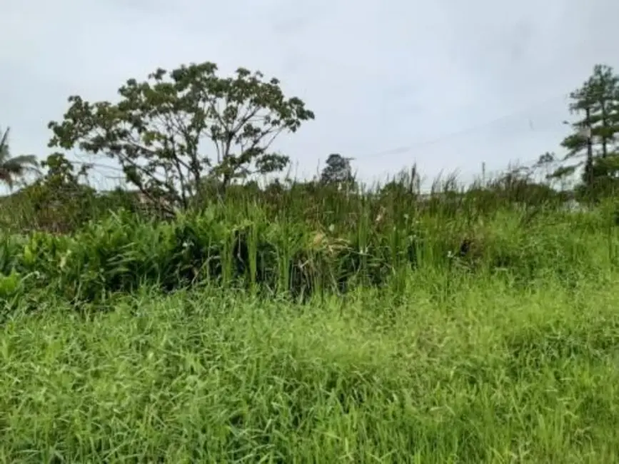Foto 4 de Terreno / Lote à venda, 312m2 em Itanhaem - SP