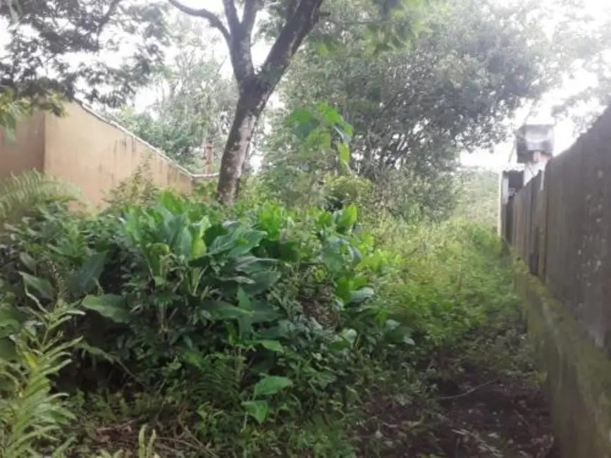 Terreno / Lote à venda, 300m2 em Itanhaem - SP - imagem 1 Foto 1 de Terreno / Lote à venda, 300m2 em Itanhaem - SP