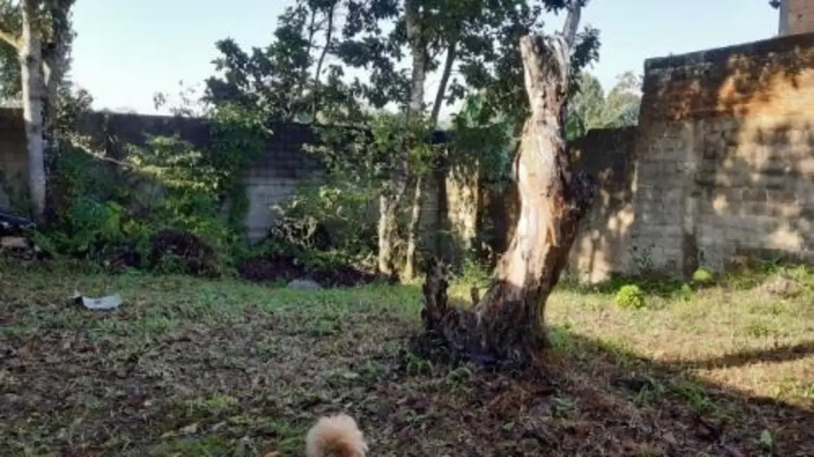 Foto 4 de Casa com 3 quartos à venda, 98m2 em Itanhaem - SP