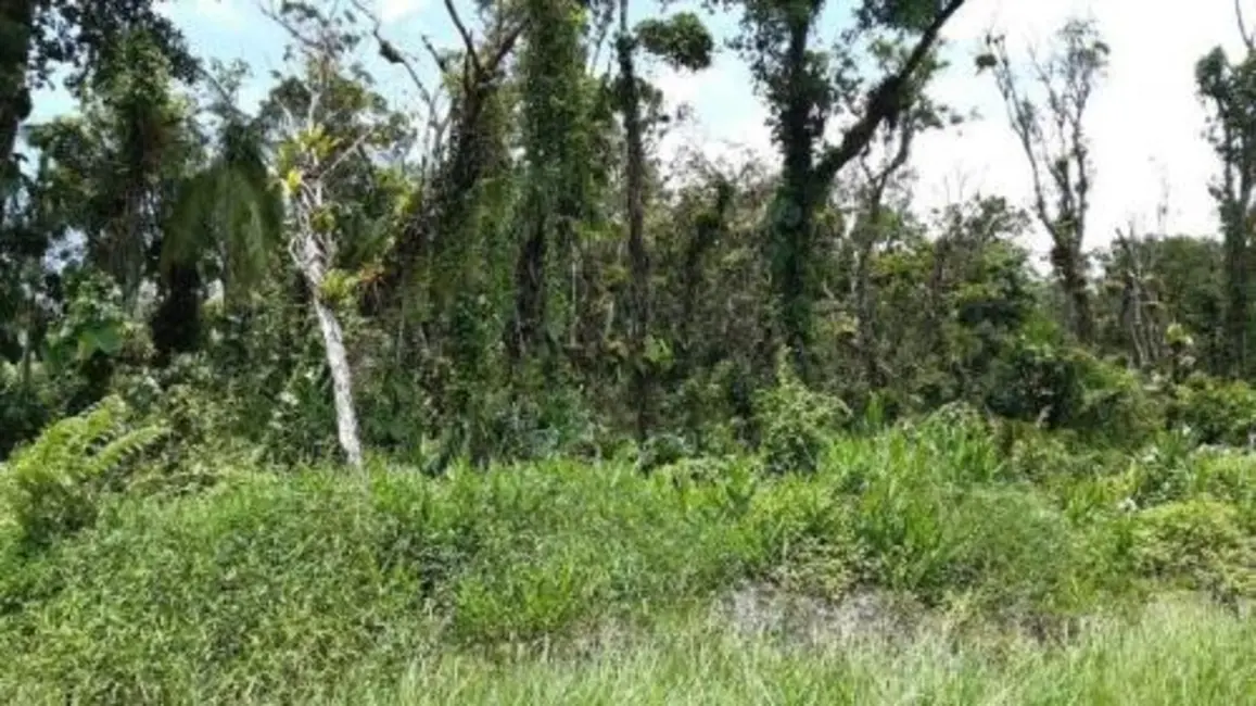 Terreno / Lote à venda, 5080m2 em Itanhaem - SP - imagem 5 Foto 5 de Terreno / Lote à venda, 5080m2 em Itanhaem - SP
