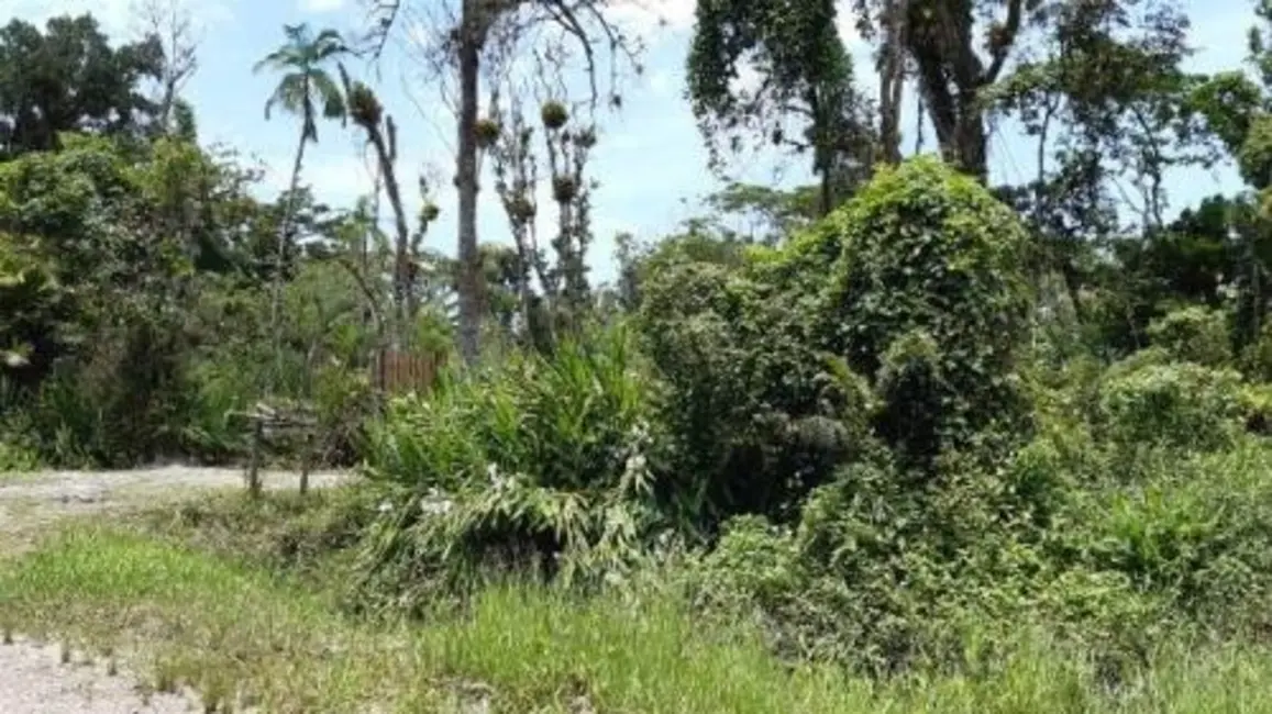 Terreno / Lote à venda, 5080m2 em Itanhaem - SP - imagem 3 Foto 3 de Terreno / Lote à venda, 5080m2 em Itanhaem - SP